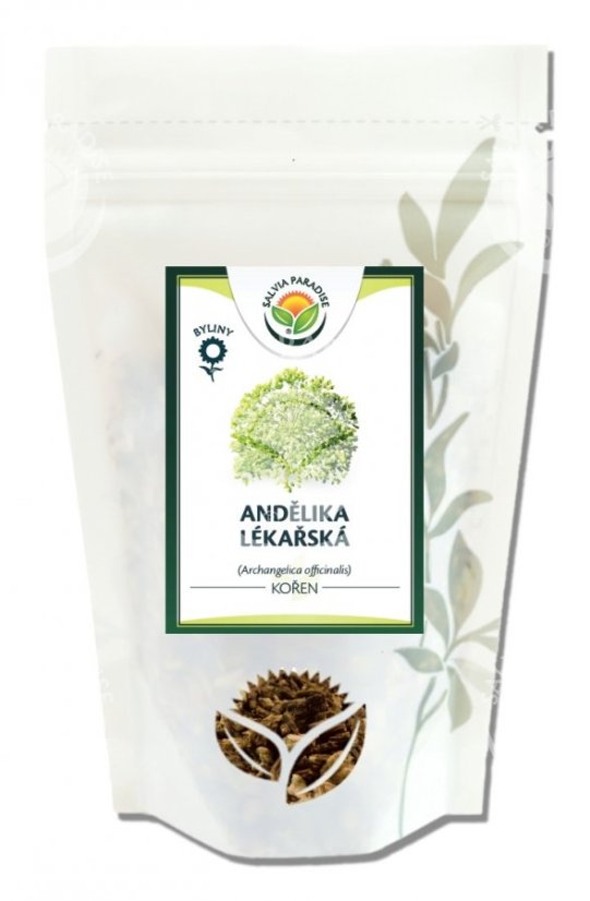 Andělika lékařská kořen 100 g