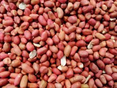 Arašídy nepražené nesolené 3 kg