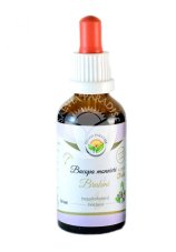 Bacopa monnieri - Brahmi AF tinktura 50ml