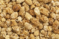 Moruše bílá sušená BIO 3 kg