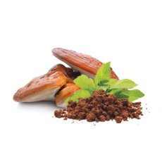 Reishi prášek BIO 100 g
