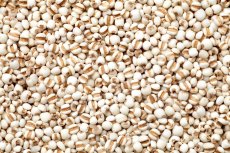 Slzovka obecná 3 kg