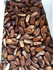 Datle Deglet Nour BIO bez pecky Industry 3 kg Datle Deglet Nour BIO bez pecky Industry 3 kg