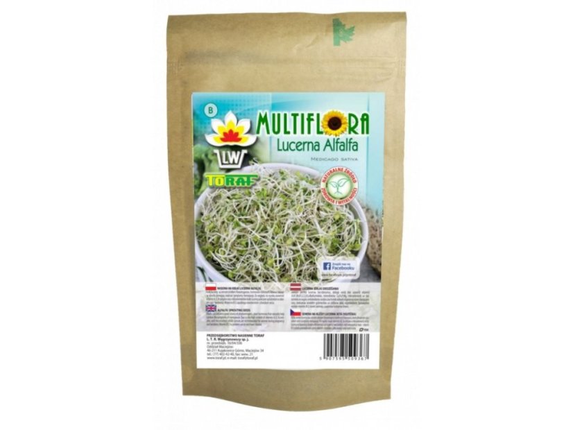 Alfalfa vojtěška (lucerna setá) - semínka na klíčení 100 g