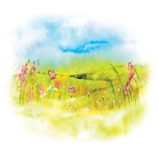 YaoMedica Jaterní detox 50 ml