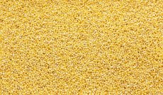 Jáhly Bio 3 kg Jáhly Bio 3 kg