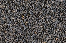 Sezam černý BIO 3 kg Sezam černý BIO 3 kg