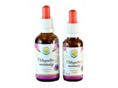 Ostropestřec mariánský AF tinktura 50 ml, SALVIA PARADISE