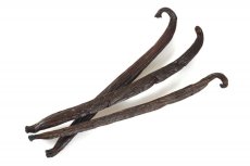 Vanilkový lusk Bourbon Bio 16-18cm