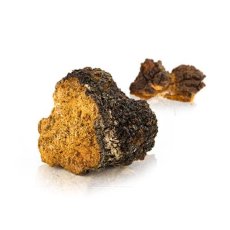 MycoMedica Chaga 90 tobolek