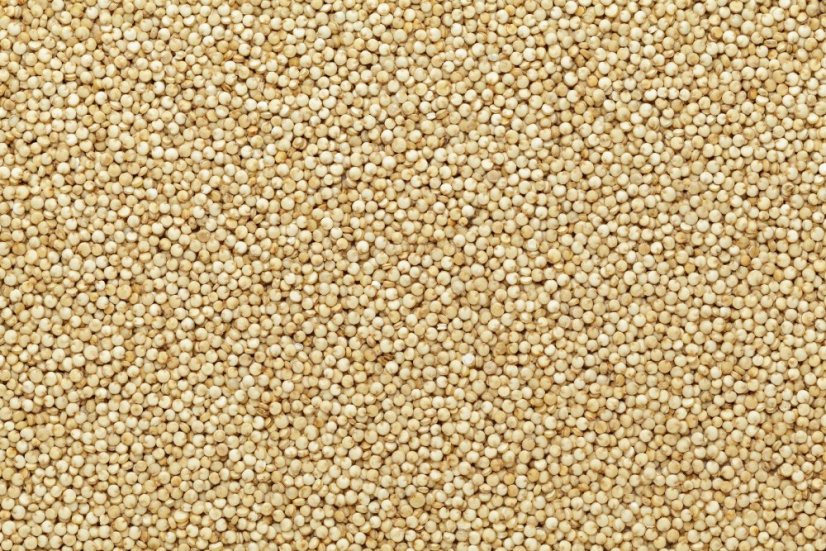 Quinoa bílá BIO 3 kg