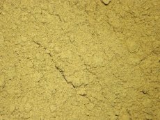 Dýňový protein BIO 3 kg