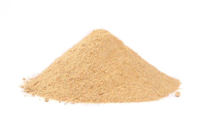 Mango prášek BIO 3 kg