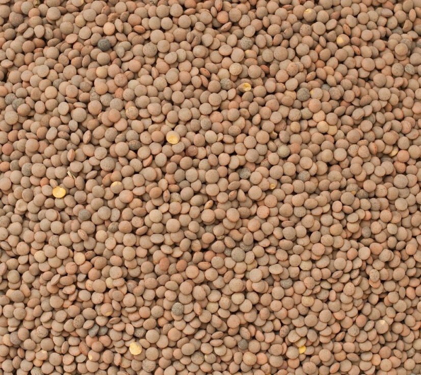 Čočka hnědá BIO 3 kg Čočka hnědá BIO 3 kg