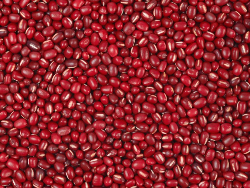 Fazole Adzuki BIO 3 kg
