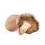 Shiitake prášek BIO 100 g