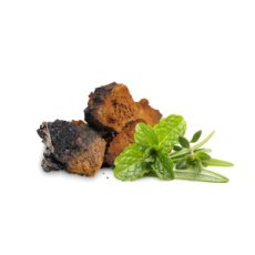 Reishi sušená 100 g