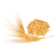 Obiloviny