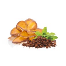 Maitake prášek BIO 100 g