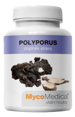 MycoMedica Polyporus 90 tobolek