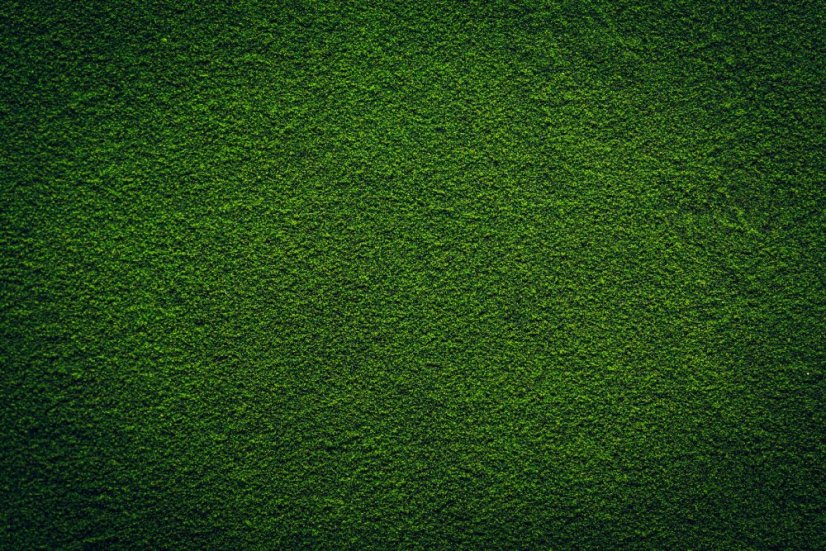 Chlorella prášek sprejové sušení BIO 3 kg