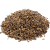 Ostropestřec