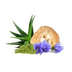 MycoGastro sypká směs pro přípravu nápoje 90 g