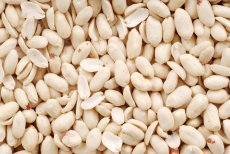 Arašídy blanšírované RAW BIO 3 kg Arašídy blanšírované RAW BIO 3 kg
