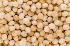 Makadamový ořech RAW BIO 3 kg Makadamový ořech RAW BIO 3 kg
