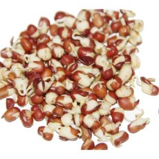 Adzuki - semínka na klíčení 50 g Adzuki - semínka na klíčení 50 g