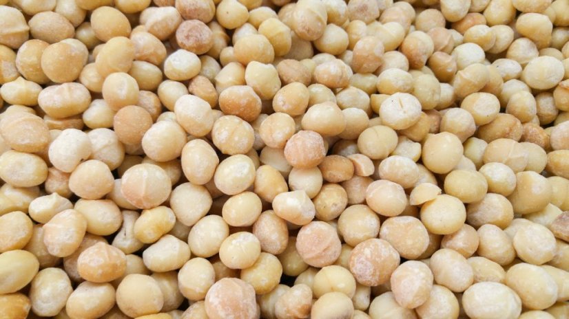 Makadamový ořech jumbo RAW 3 kg