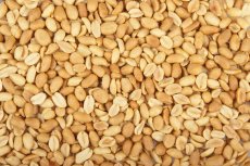 Arašídy pražené nesolené 38/42 3 kg Arašídy pražené nesolené 38/42 3 kg