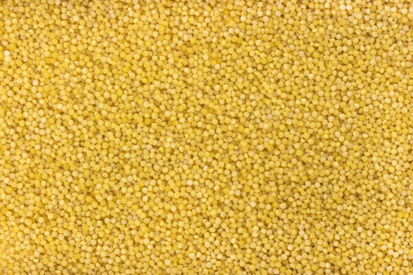 Celozrnný kuskus BIO 3 kg