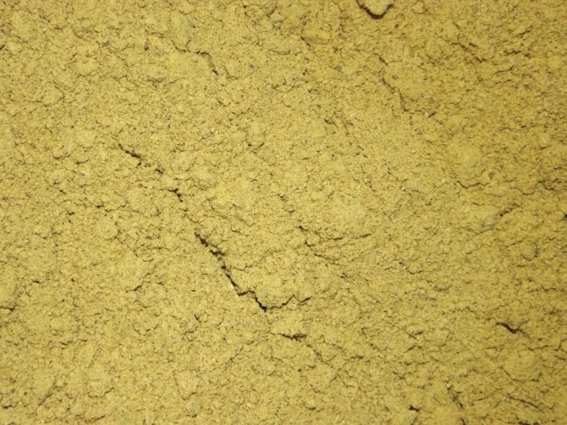Dýňový protein BIO 3 kg