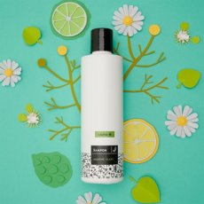 Tekutý šampon na mastné vlasy - lípa a heřmánek 250ml, CALTHA