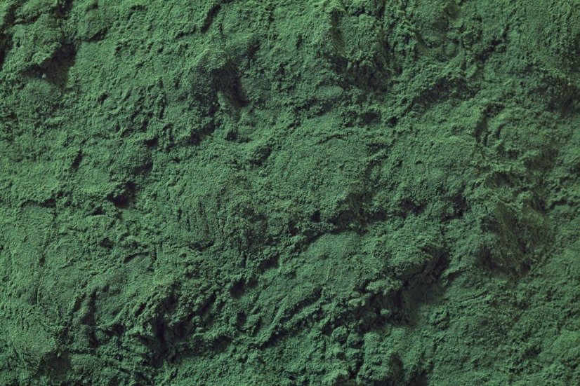 Spirulina prášek BIO 3 kg