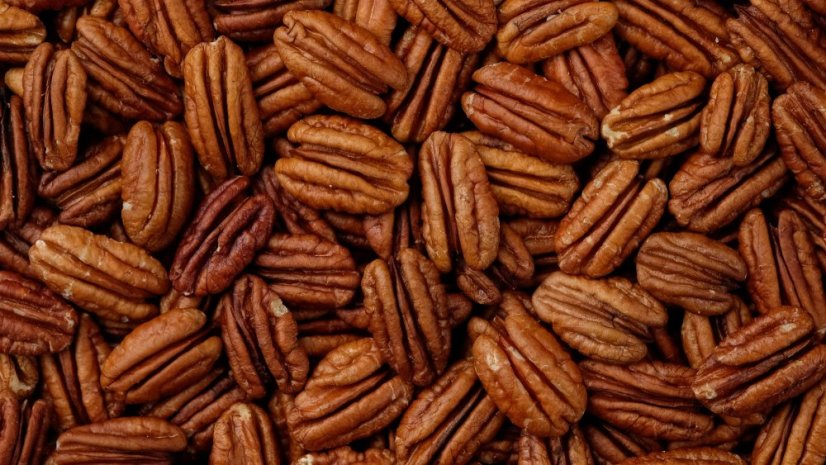 Pekanový ořech BIO 3 kg