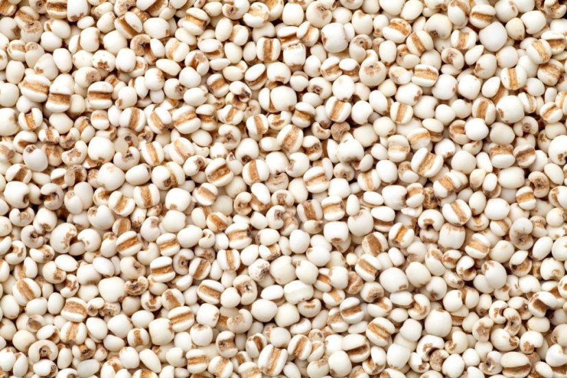 Slzovka obecná 3 kg
