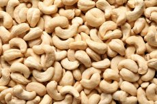 Kešu ořechy W240 EXTRA BIO 3 kg Kešu ořechy W240 EXTRA BIO 3 kg