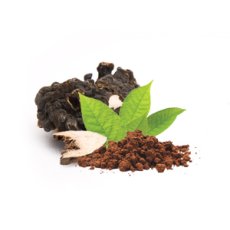 Polyporus prášek BIO 100 g Polyporus prášek BIO 100 g