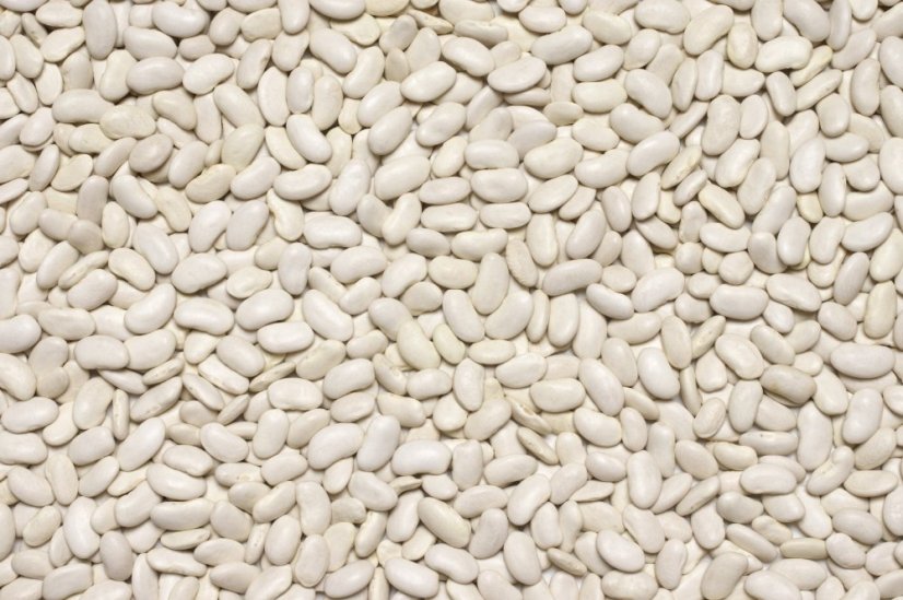 Fazole bílá BIO 3 kg Fazole bílá BIO 3 kg