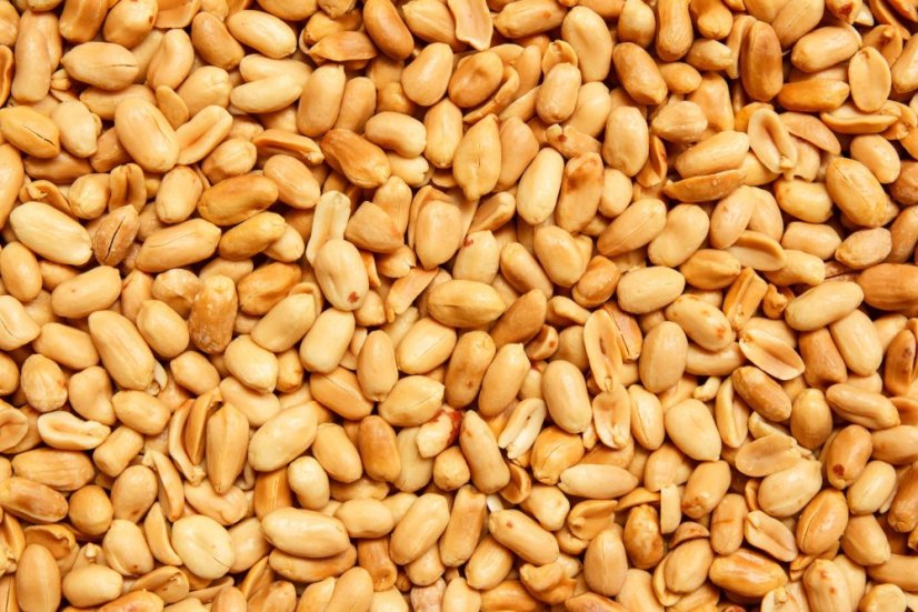 Arašídy pražené nesolené BIO 3 kg Arašídy pražené nesolené BIO 3 kg