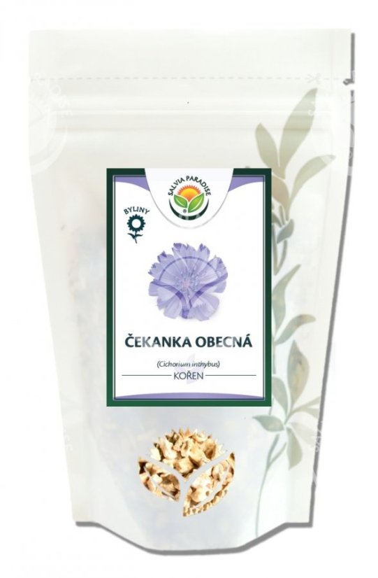 Čekanka kořeň SALVIA PARADISE 100 g Čekanka kořeň SALVIA PARADISE 100 g