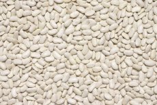 Fazole bílá BIO 3 kg