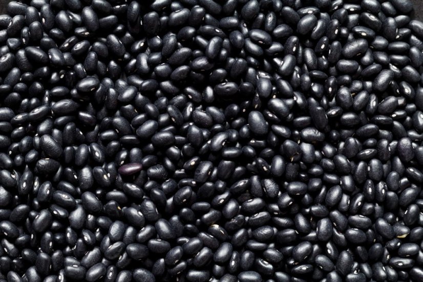 Fazole černá BIO 3 kg