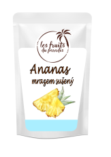 Ananas kousky lyofilizované 100 g Ananas kousky lyofilizované 100 g