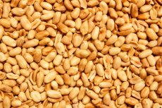 Arašídy pražené nesolené BIO 3 kg Arašídy pražené nesolené BIO 3 kg