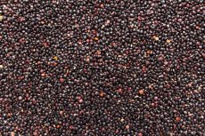Quinoa černá BIO 3 kg
