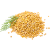 Hořčice