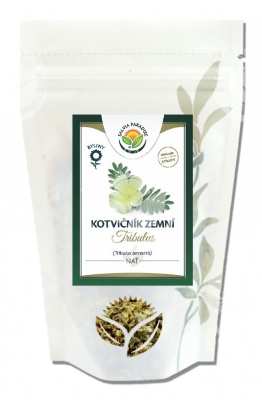 KOTVIČNÍK ZEMNÍ NAŤ SALVIA PARADISE 50 g